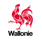 wallonie_coq_fb